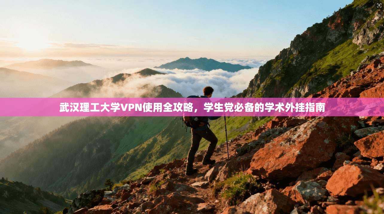 武汉理工大学VPN使用全攻略，学生党必备的学术外挂指南