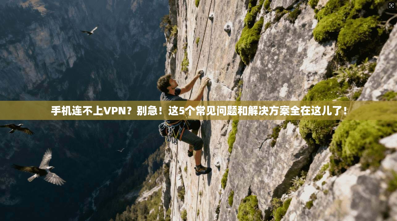 手机连不上VPN？别急！这5个常见问题和解决方案全在这儿了！