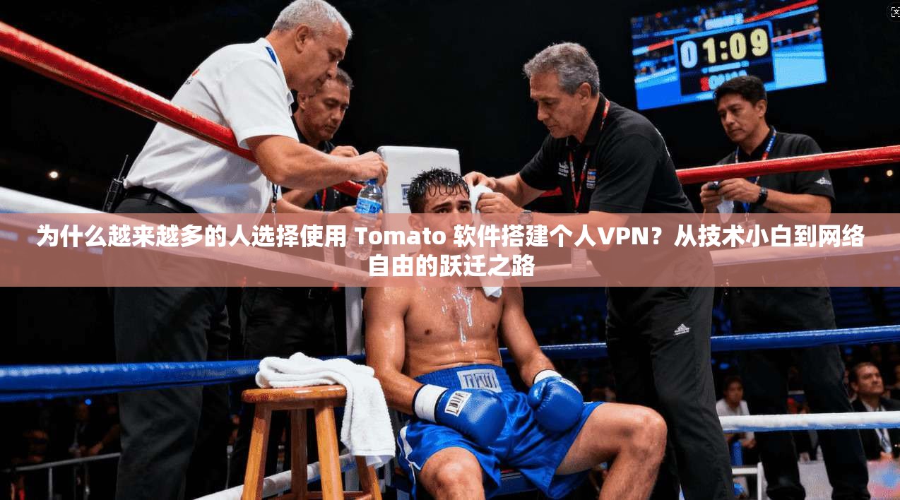 为什么越来越多的人选择使用 Tomato 软件搭建个人VPN？从技术小白到网络自由的跃迁之路