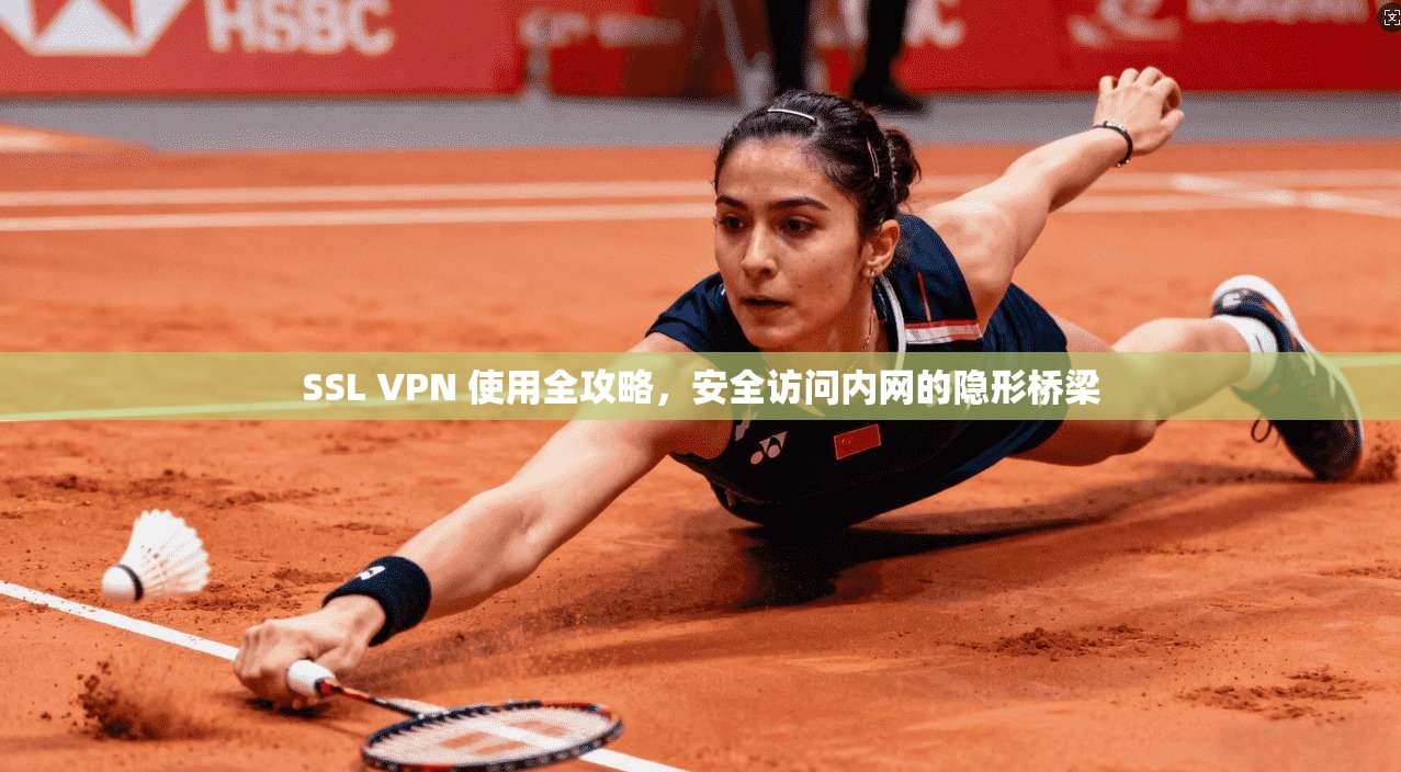 SSL VPN 使用全攻略，安全访问内网的隐形桥梁
