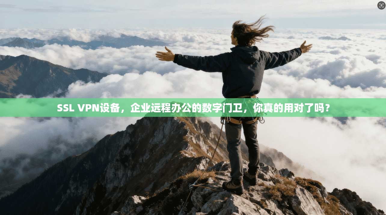 SSL VPN设备，企业远程办公的数字门卫，你真的用对了吗？