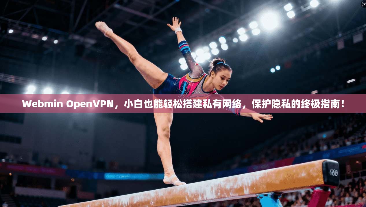 Webmin OpenVPN，小白也能轻松搭建私有网络，保护隐私的终极指南！