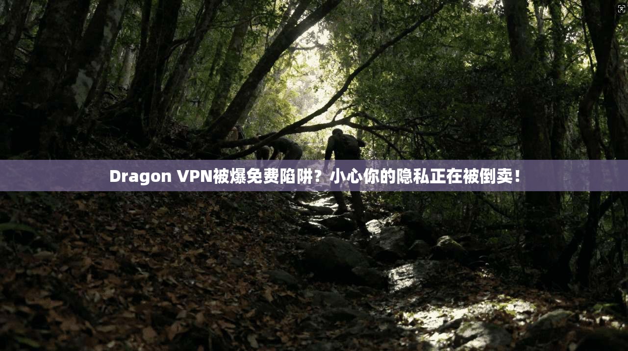 Dragon VPN被爆免费陷阱？小心你的隐私正在被倒卖！