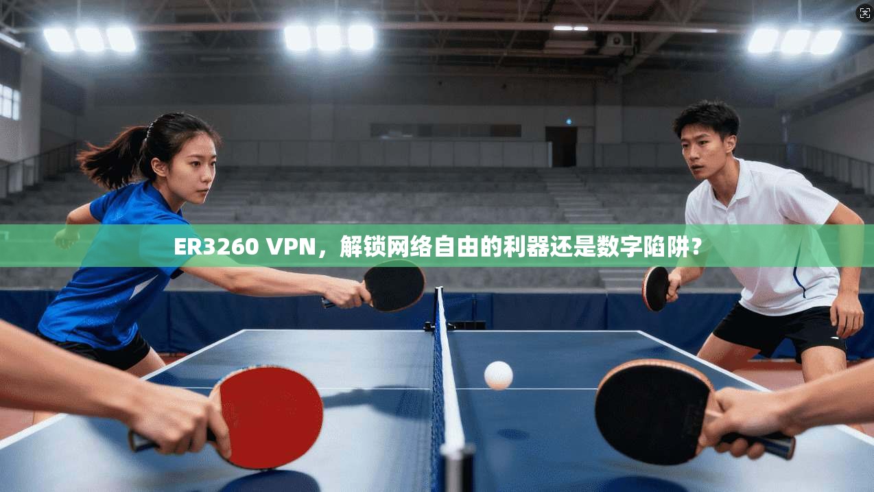 ER3260 VPN，解锁网络自由的利器还是数字陷阱？