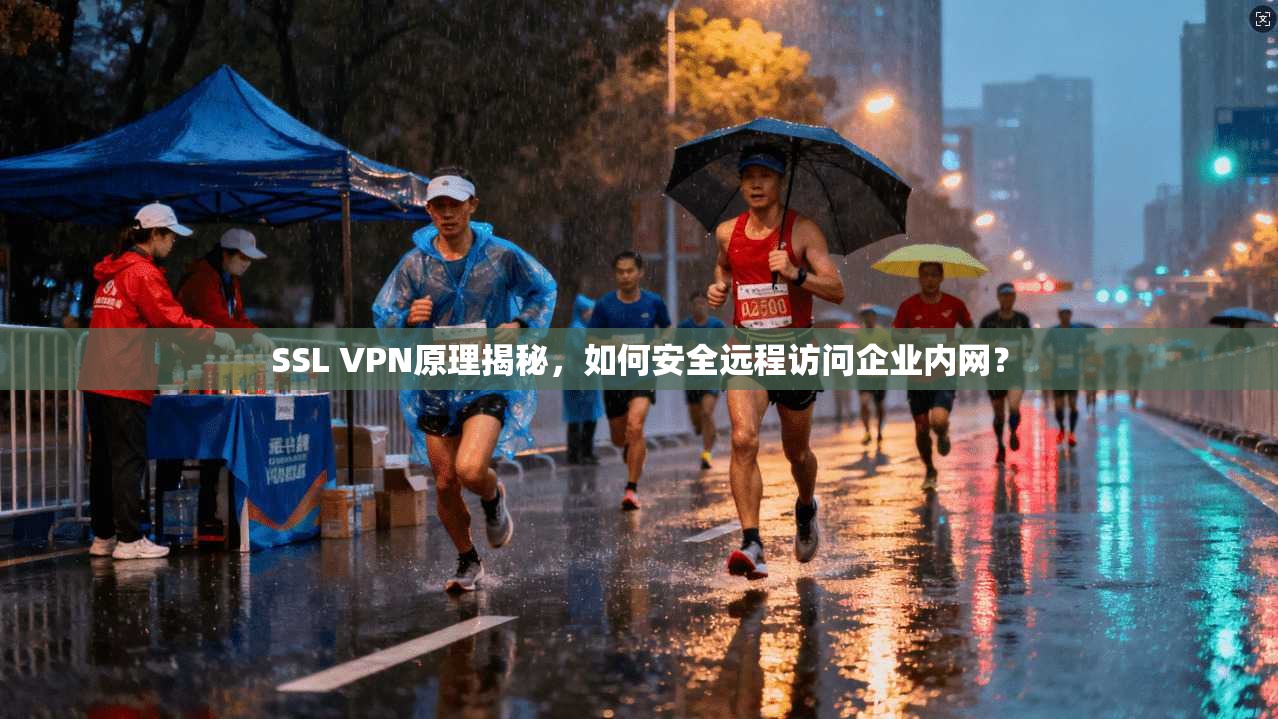 SSL VPN原理揭秘，如何安全远程访问企业内网？
