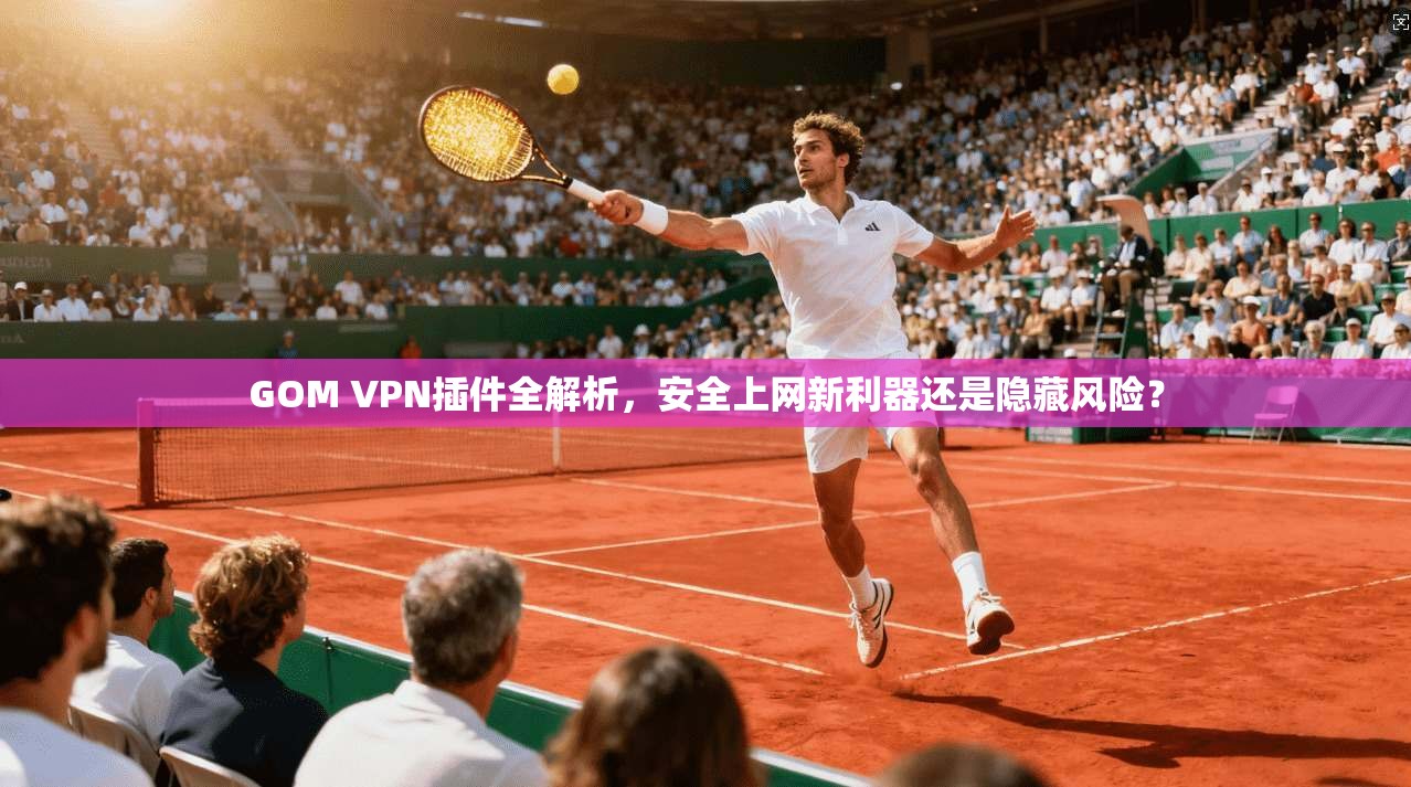 GOM VPN插件全解析，安全上网新利器还是隐藏风险？
