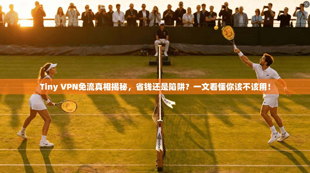 Tiny VPN免流真相揭秘，省钱还是陷阱？一文看懂你该不该用！