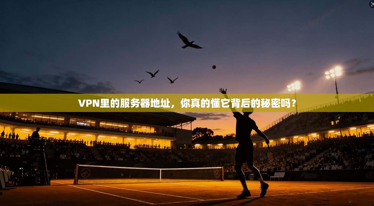 VPN里的服务器地址，你真的懂它背后的秘密吗？