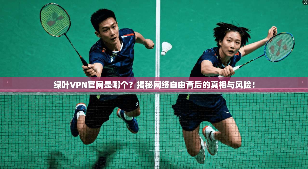 绿叶VPN官网是哪个？揭秘网络自由背后的真相与风险！