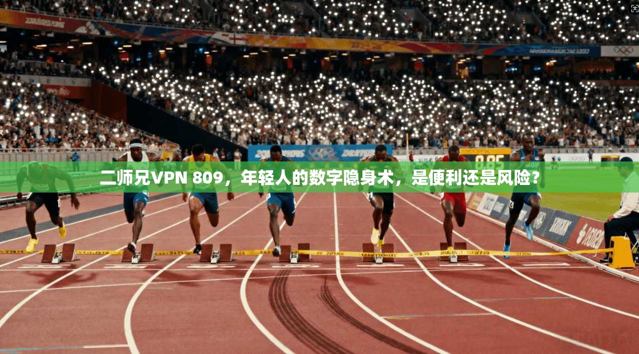 二师兄VPN 809，年轻人的数字隐身术，是便利还是风险？
