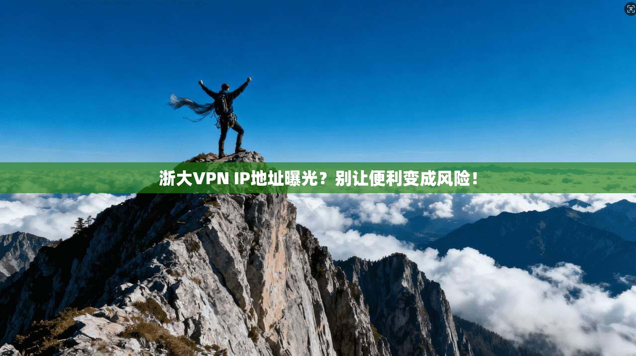 浙大VPN IP地址曝光?别让便利变成风险!