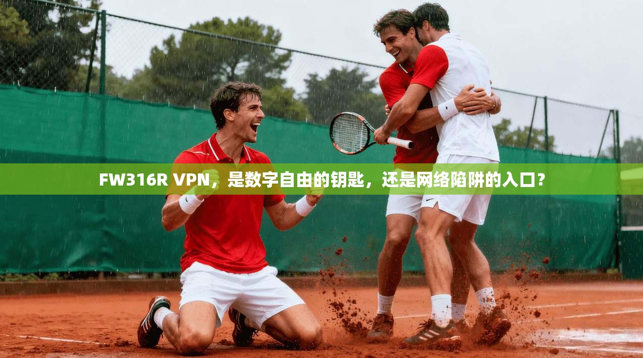FW316R VPN，是数字自由的钥匙，还是网络陷阱的入口？