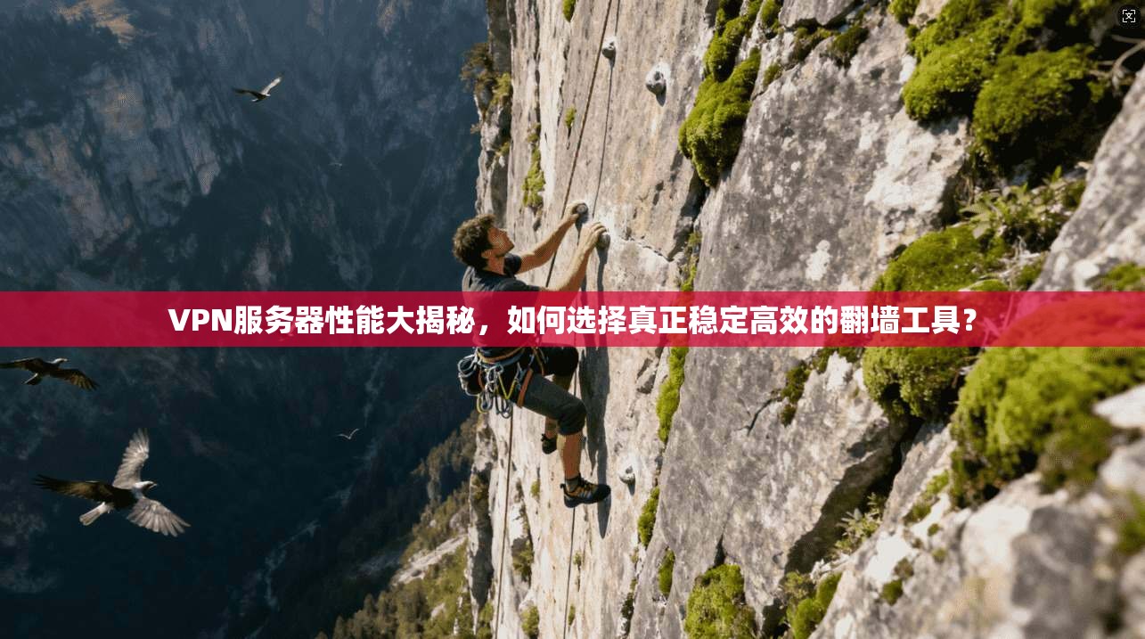 VPN服务器性能大揭秘，如何选择真正稳定高效的翻墙工具？
