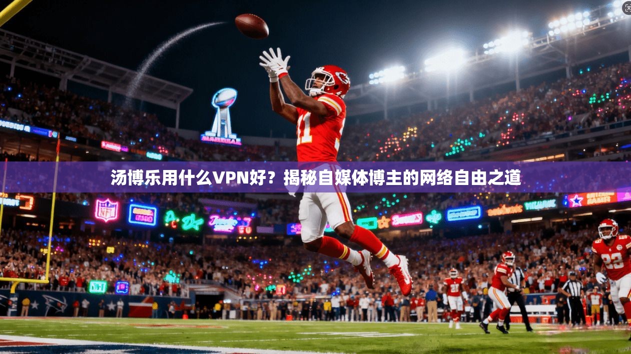 汤博乐用什么VPN好？揭秘自媒体博主的网络自由之道