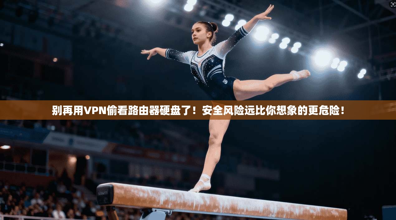 别再用VPN偷看路由器硬盘了！安全风险远比你想象的更危险！