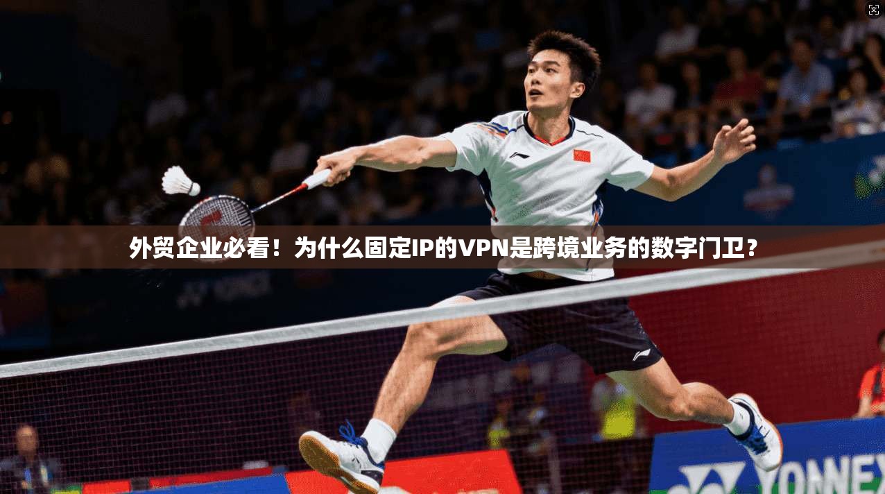 外贸企业必看!为什么固定IP的VPN是跨境业务的数字门卫?