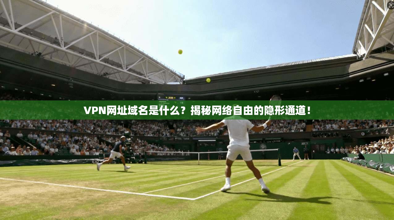 VPN网址域名是什么?揭秘网络自由的隐形通道!