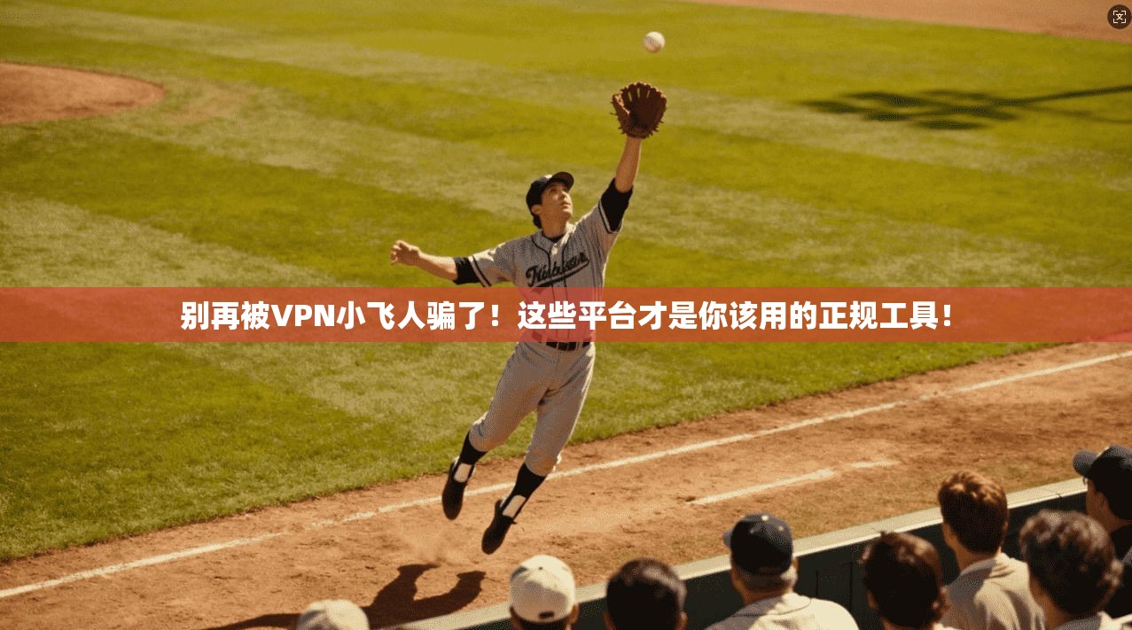 别再被VPN小飞人骗了！这些平台才是你该用的正规工具！