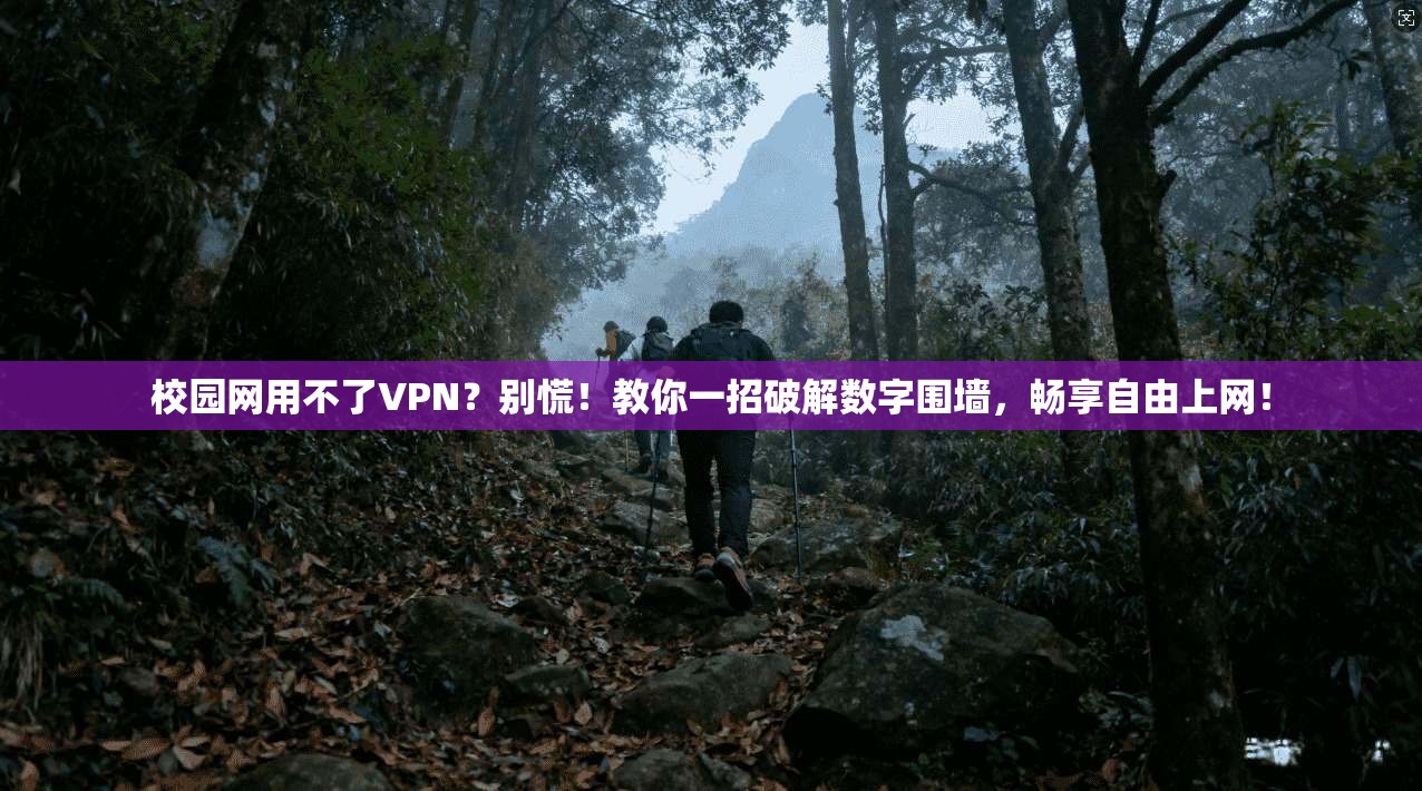 校园网用不了VPN？别慌！教你一招破解数字围墙，畅享自由上网！