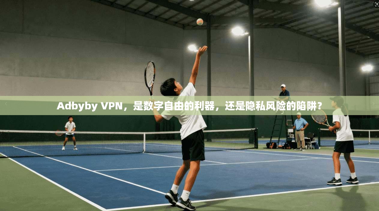 Adbyby VPN，是数字自由的利器，还是隐私风险的陷阱？