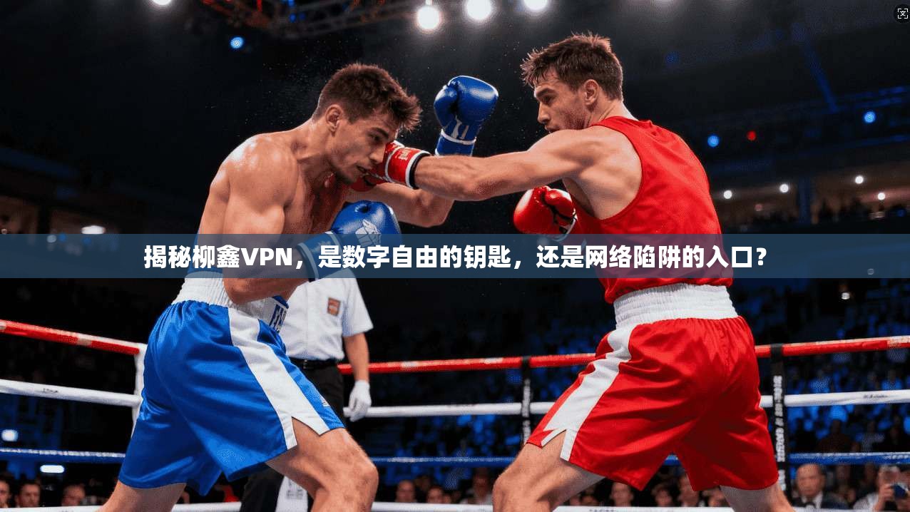 揭秘柳鑫VPN,是数字自由的钥匙,还是网络陷阱的入口?