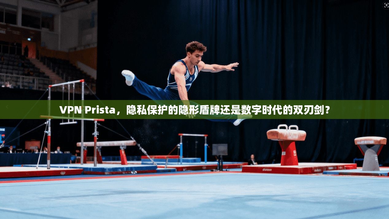 VPN Prista，隐私保护的隐形盾牌还是数字时代的双刃剑？