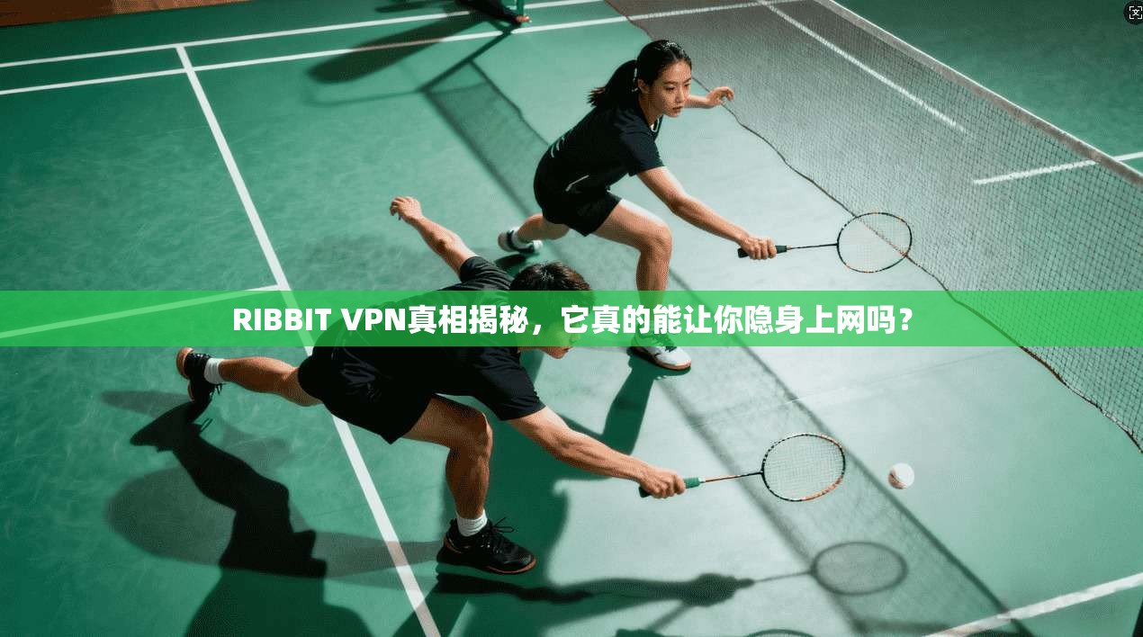 RIBBIT VPN真相揭秘,它真的能让你隐身上网吗?