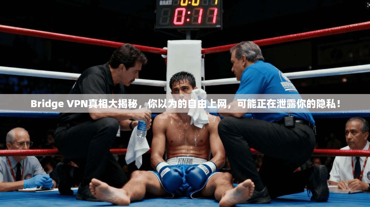 Bridge VPN真相大揭秘，你以为的自由上网，可能正在泄露你的隐私！