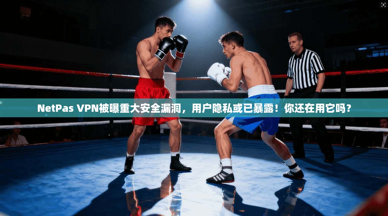NetPas VPN被曝重大安全漏洞，用户隐私或已暴露！你还在用它吗？