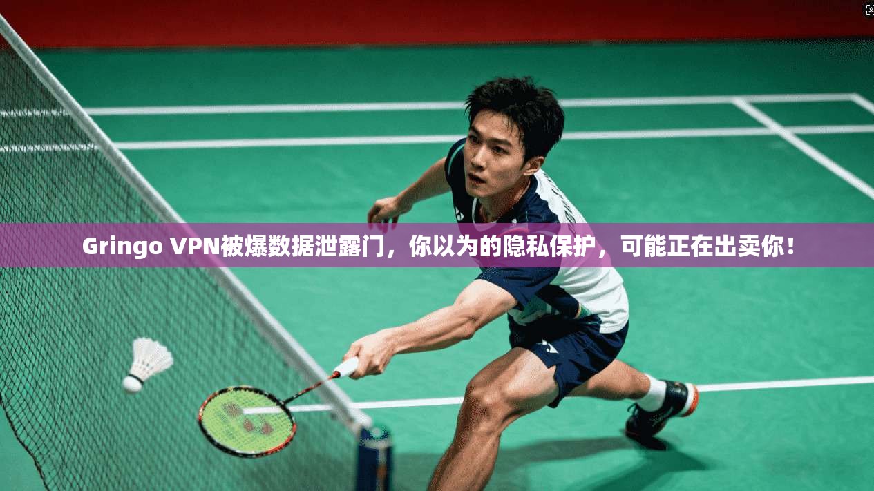 Gringo VPN被爆数据泄露门，你以为的隐私保护，可能正在出卖你！