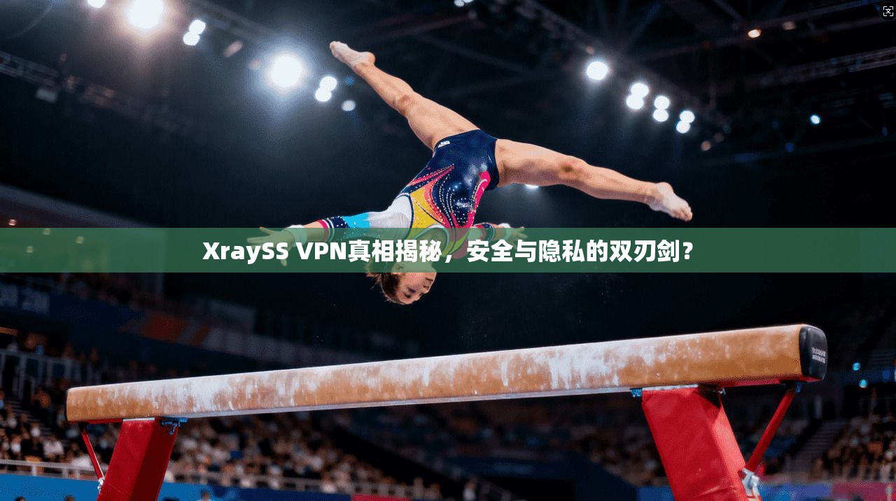 XraySS VPN真相揭秘，安全与隐私的双刃剑？