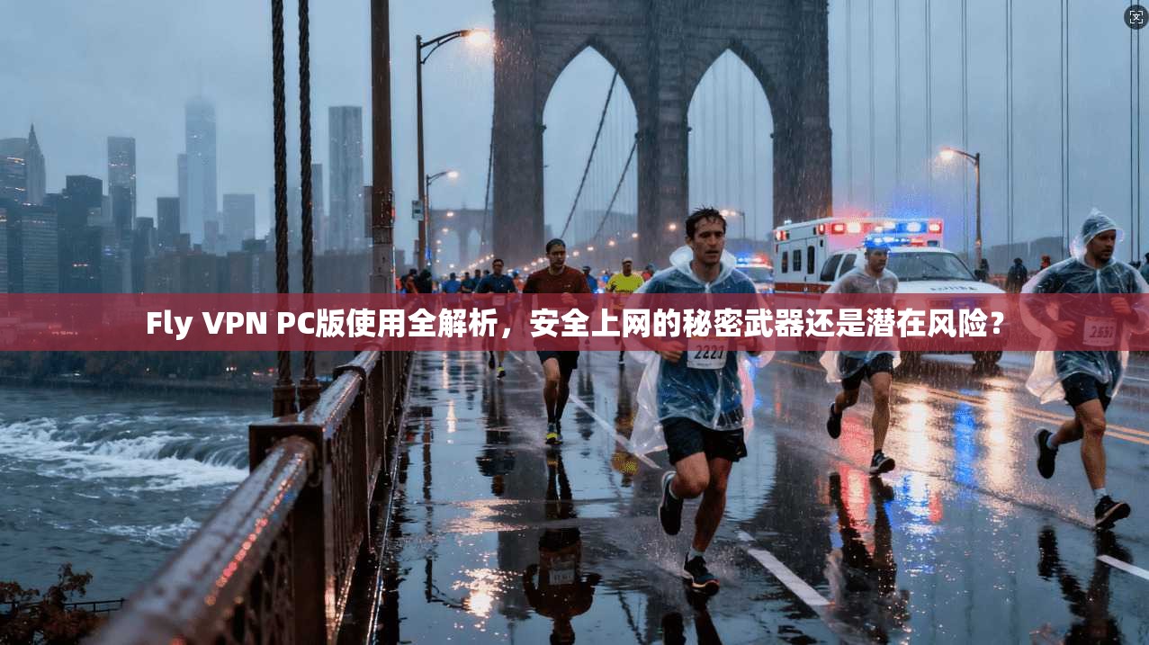 Fly VPN PC版使用全解析，安全上网的秘密武器还是潜在风险？