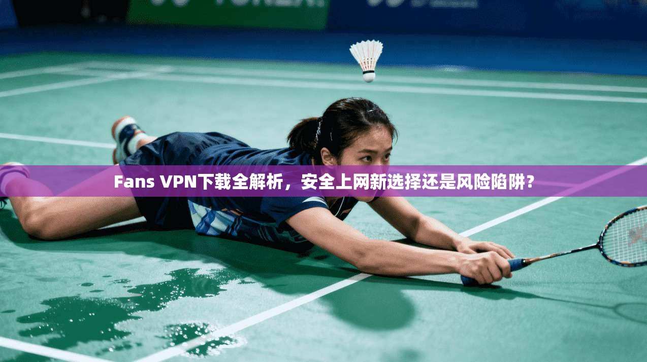 Fans VPN下载全解析，安全上网新选择还是风险陷阱？