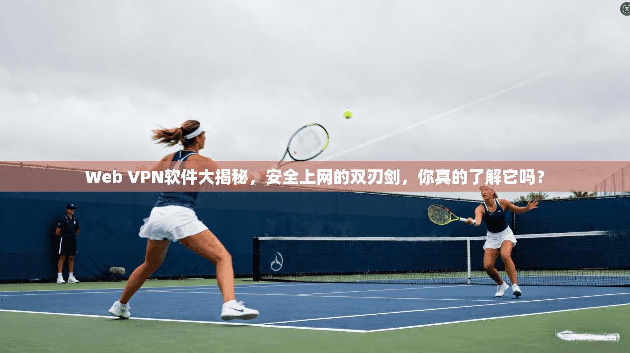 Web VPN软件大揭秘，安全上网的双刃剑，你真的了解它吗？