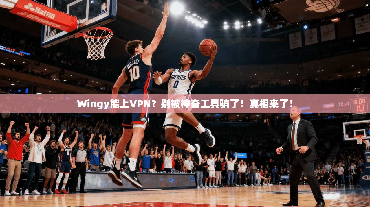 Wingy能上VPN？别被神奇工具骗了！真相来了！
