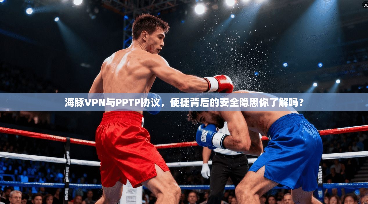 海豚VPN与PPTP协议，便捷背后的安全隐患你了解吗？