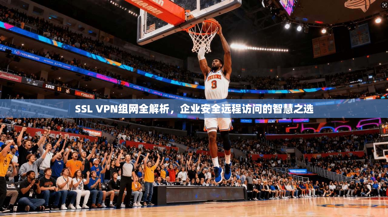 SSL VPN组网全解析，企业安全远程访问的智慧之选