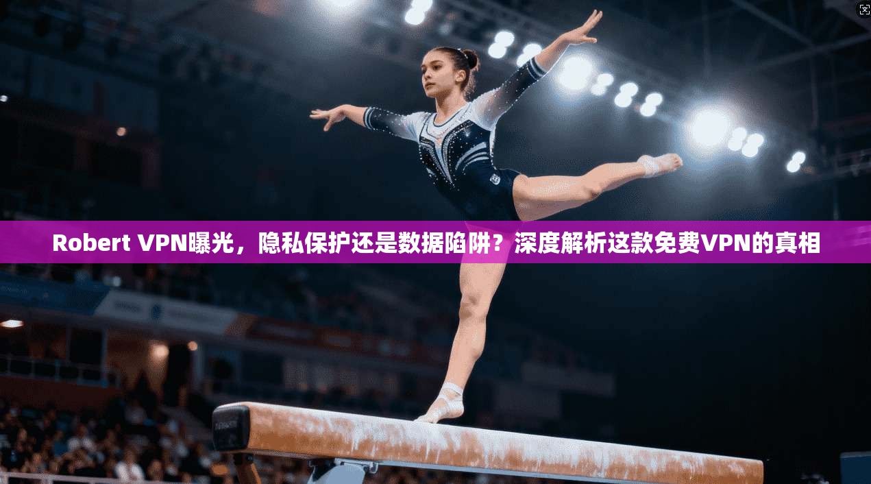 Robert VPN曝光，隐私保护还是数据陷阱？深度解析这款免费VPN的真相