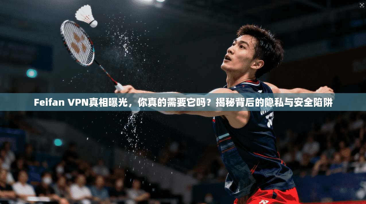 Feifan VPN真相曝光，你真的需要它吗？揭秘背后的隐私与安全陷阱