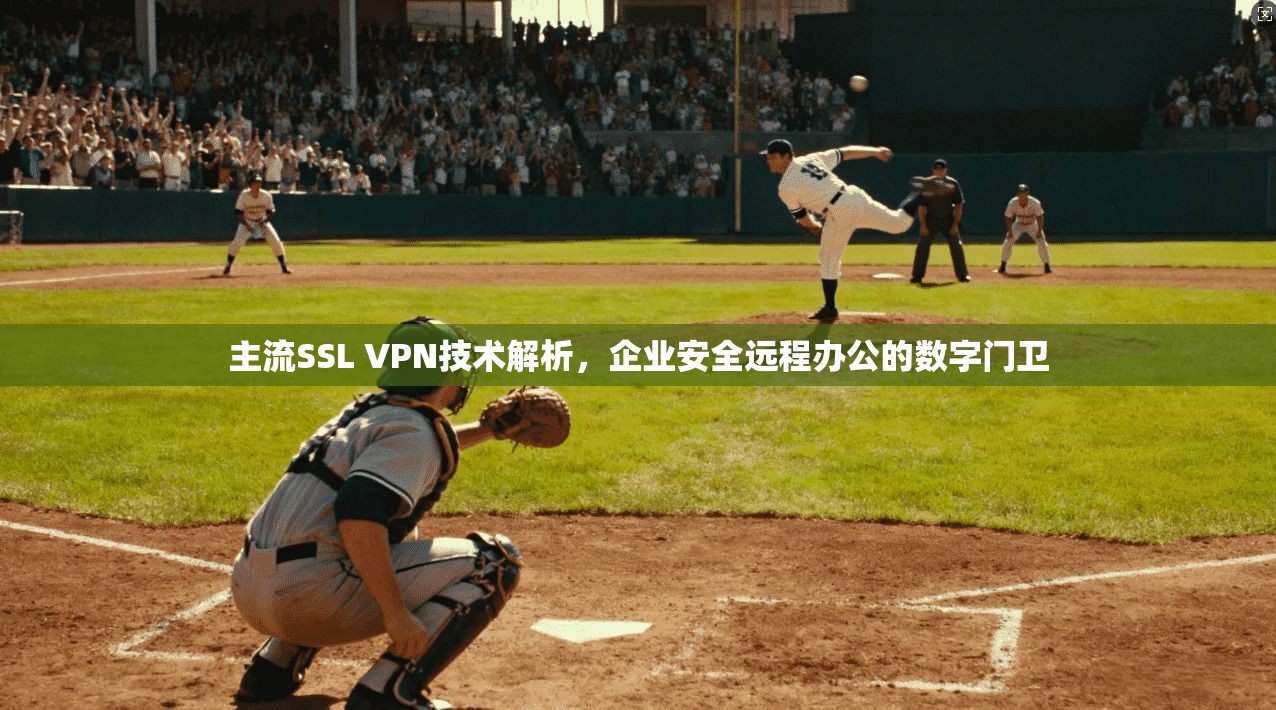 主流SSL VPN技术解析,企业安全远程办公的数字门卫 主流SSL VPN技术解析,企业安全远程办公的数字门卫