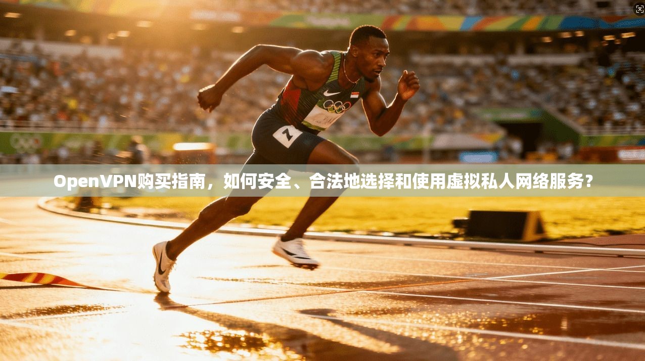 OpenVPN购买指南，如何安全、合法地选择和使用虚拟私人网络服务？
