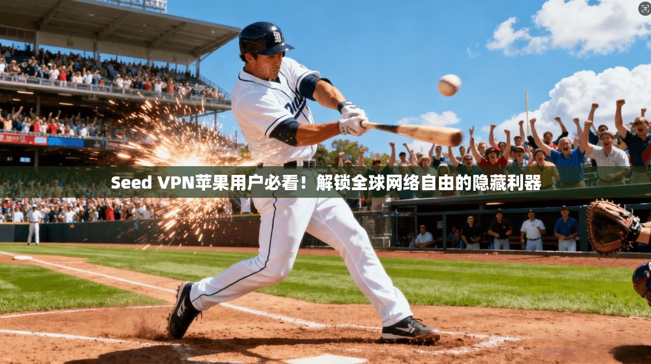 Seed VPN苹果用户必看！解锁全球网络自由的隐藏利器
