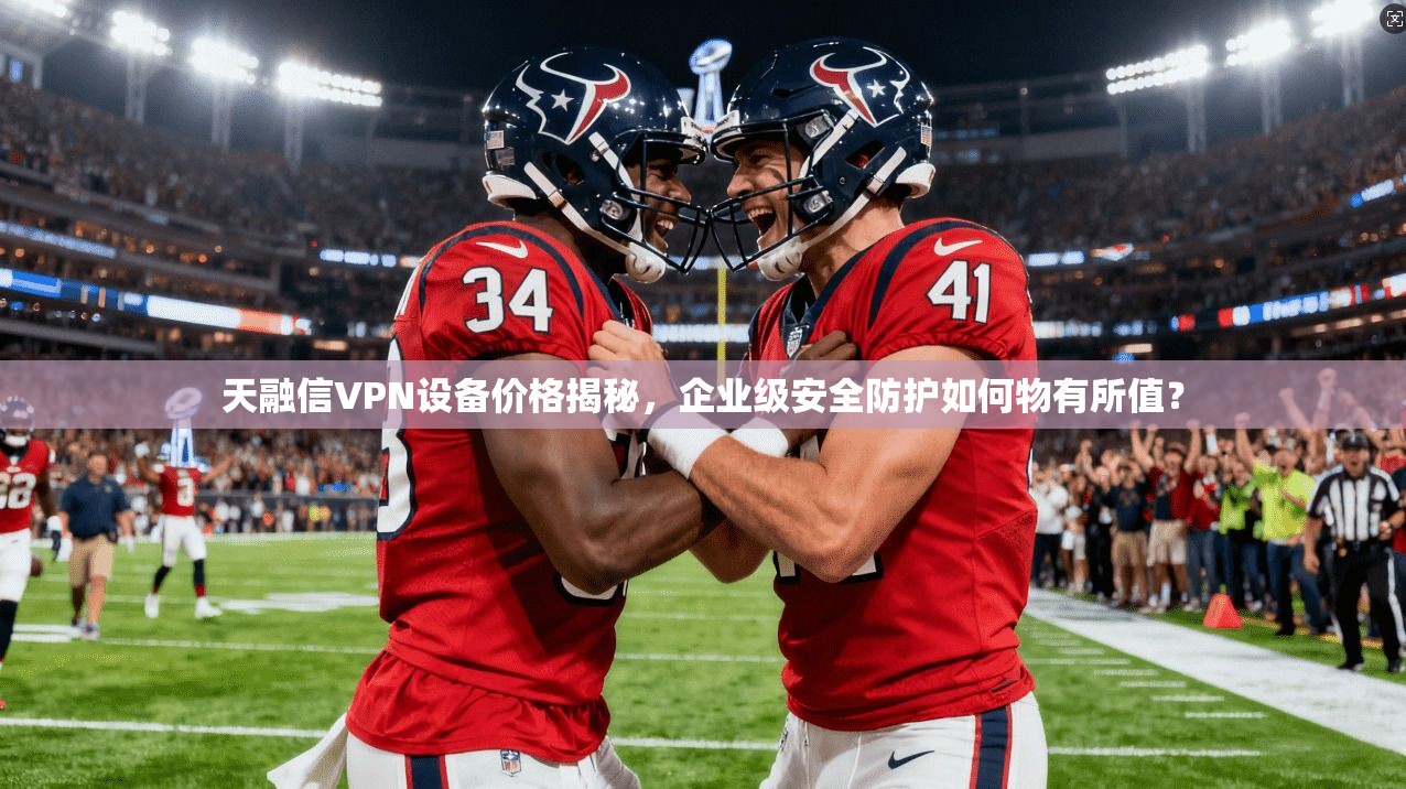天融信VPN设备价格揭秘，企业级安全防护如何物有所值？