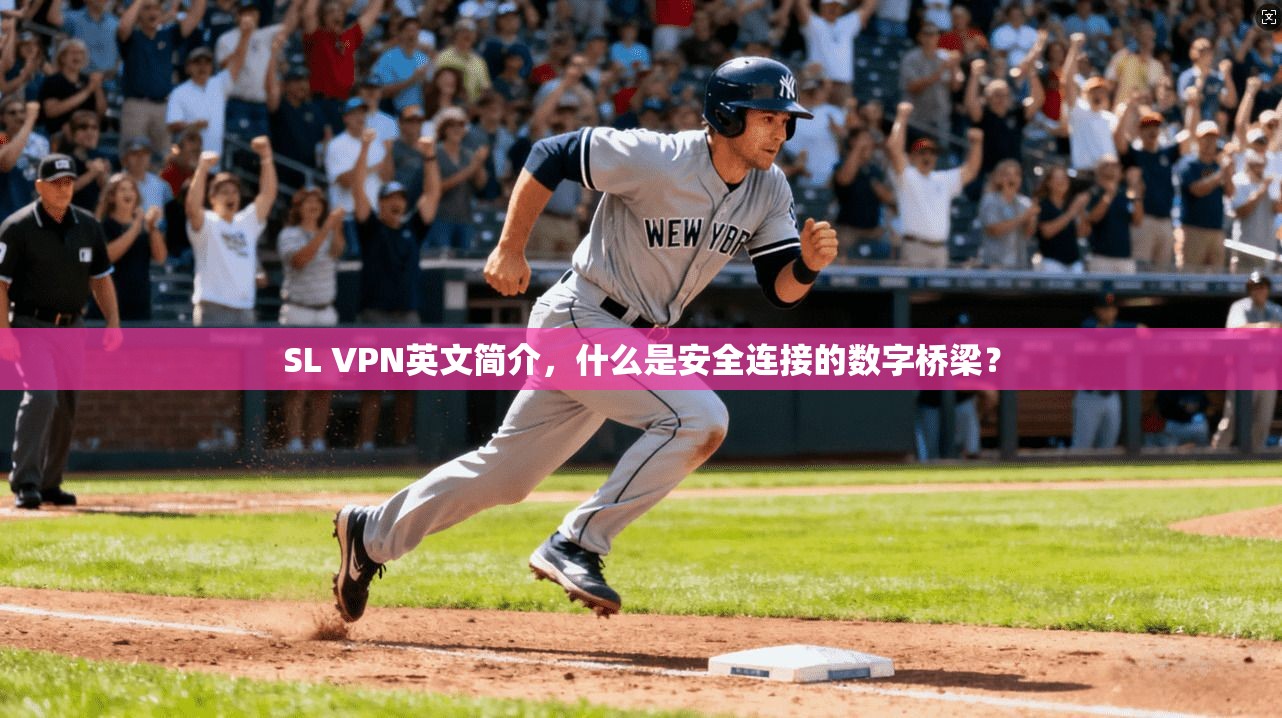 SL VPN英文简介，什么是安全连接的数字桥梁？