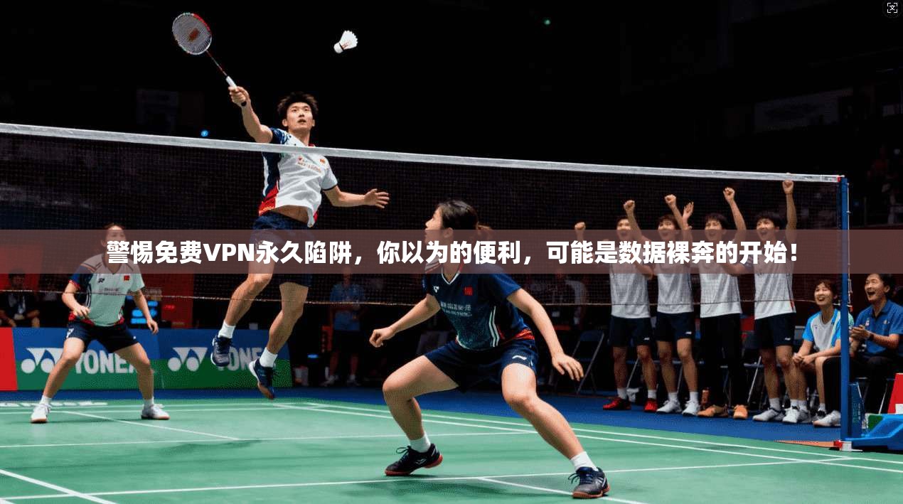 警惕免费VPN永久陷阱，你以为的便利，可能是数据裸奔的开始！