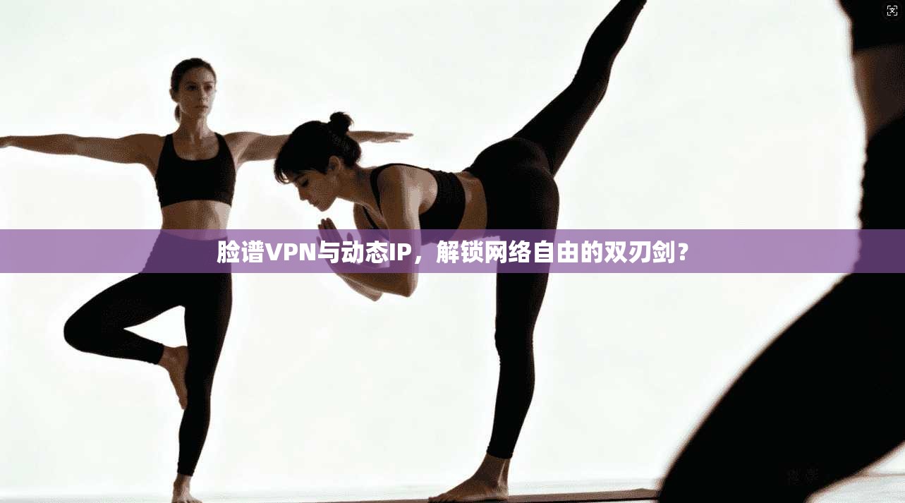 脸谱VPN与动态IP，解锁网络自由的双刃剑？