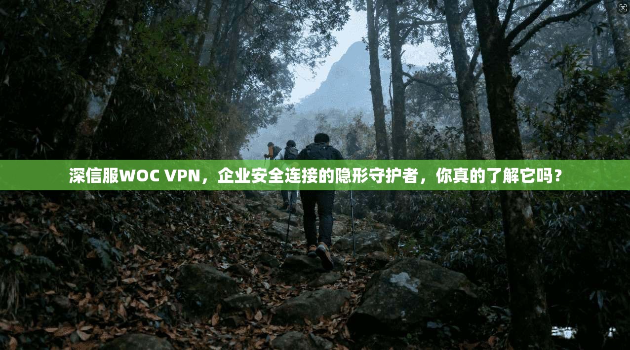 深信服WOC VPN，企业安全连接的隐形守护者，你真的了解它吗？