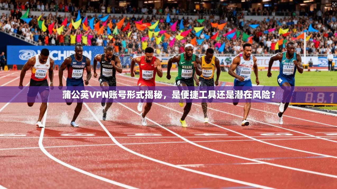 蒲公英VPN账号形式揭秘，是便捷工具还是潜在风险？