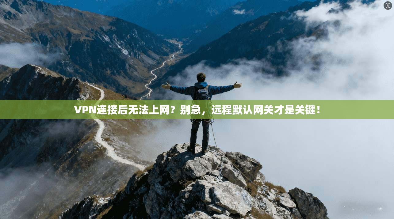 VPN连接后无法上网？别急，远程默认网关才是关键！