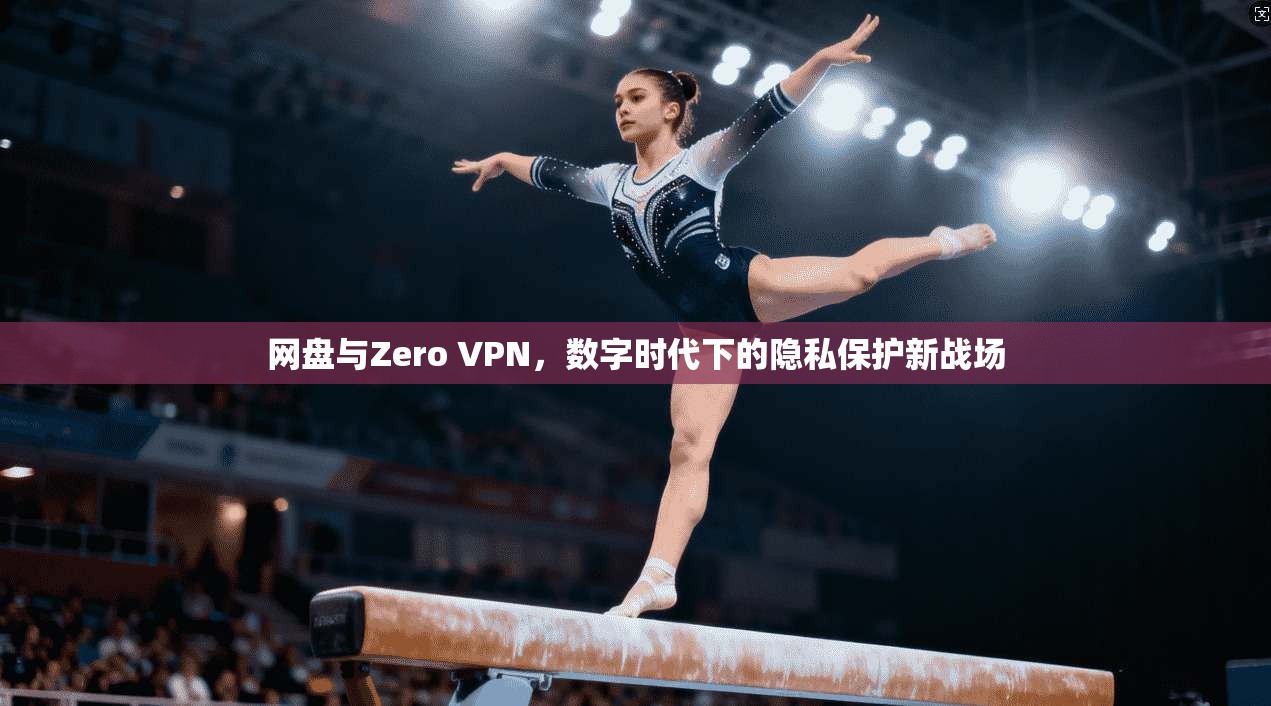 网盘与Zero VPN，数字时代下的隐私保护新战场